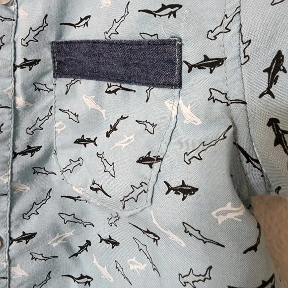 Shark Lover? - Picture 4 of 4